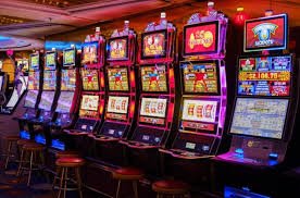 Cricket and football sections inside the bd8 sports betting platform